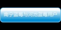 南寧藍莓與河池藍莓用戶的原因