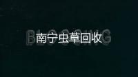 南寧蟲草回收