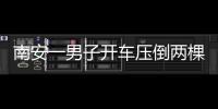 南安一男子開車壓倒兩棵樹苗 竟被對方索賠9000元