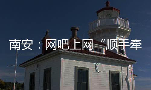 南安：網吧上網“順手牽羊” 兩小時后就被抓獲