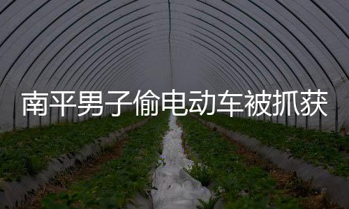 南平男子偷電動車被抓獲24次 其中多次入刑