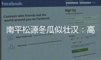 南平松源冬瓜似壯漢：高1米73 重143公斤(圖)