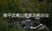 南平武夷山客家農民創業 當起“茶老板”