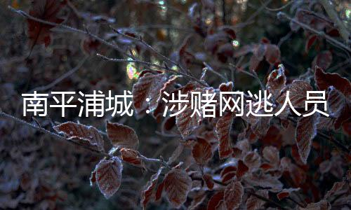 南平浦城：涉賭網逃人員辦理業務被抓