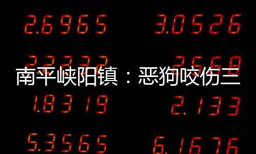 南平峽陽鎮：惡狗咬傷三人 民警連開兩槍擊斃