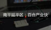 南平延平區(qū)：百合產(chǎn)業(yè)快速“長(zhǎng)大” 鄉(xiāng)村興旺