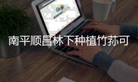 南平順昌林下種植竹蓀可領補助款