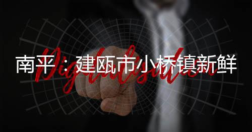 南平：建甌市小橋鎮新鮮苦瓜趁熱上市