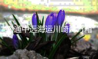 南通中遠海運川崎兩萬箱船“水瓶座”號命名