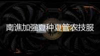 南譙加強夏種夏管農技服務促豐收_