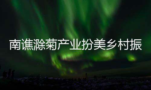 南譙滁菊產業扮美鄉村振興路_