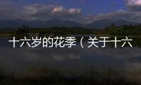 十六歲的花季（關于十六歲的花季的基本情況說明介紹）