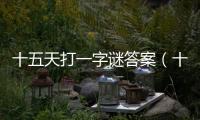 十五天打一字謎答案（十五天打一字）