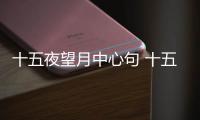 十五夜望月中心句 十五夜望月古詩的中心句