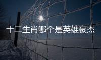 十二生肖哪個是英雄豪杰的動物（十二生肖哪個是英雄）