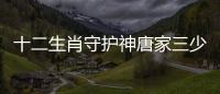 十二生肖守護神唐家三少這樣理解正確嗎?