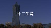 十二生肖