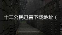 十二公民迅雷下載地址（十二公民迅雷下載）