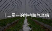 十二星座的性格脾氣摩羯座 十二星座的性格脾氣摩羯座