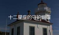 十二星座的守護(hù)蝴蝶