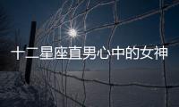 十二星座直男心中的女神