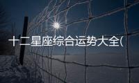 十二星座綜合運勢大全(11月篇）