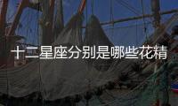 十二星座分別是哪些花精靈王（十二星座代表的精靈王）