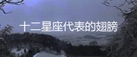 十二星座代表的翅膀