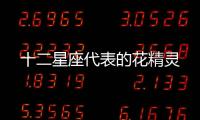 十二星座代表的花精靈
