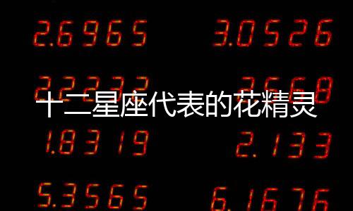 十二星座代表的花精靈