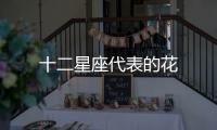 十二星座代表的花
