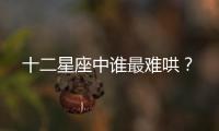 十二星座中誰最難哄？