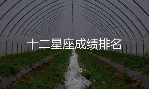 十二星座成績排名