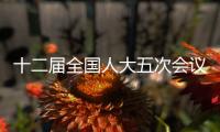 十二屆全國人大五次會議準備就緒 京外代表團全部抵京