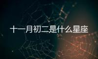 十一月初二是什么星座