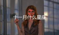 十一月什么星座
