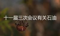 十一屆三次會議有關石油石化提案全部辦復