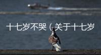 十七歲不哭（關于十七歲不哭的基本情況說明介紹）