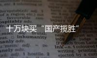 十萬塊買“國產攬勝” 標配自動駐車