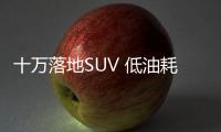 十萬落地SUV 低油耗高性價比你選這款