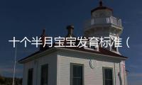 十個半月寶寶發育標準（十個月的寶寶發育標準）