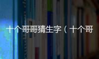 十個哥哥猜生字（十個哥哥猜一個字）