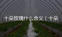 十朵玫瑰什么含義（十朵玫瑰代表什么）