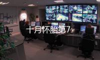 十月懷胎第7