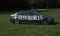 十月懷胎第15