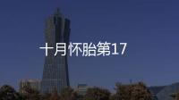 十月懷胎第17