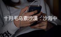 十月毛烏素沙漠：沙海中的堅韌與希望