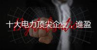 十大電力頂尖企業(yè)，誰盈利能力最強(qiáng)？