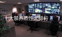 十大禁養烈性犬排行？ 全球十大禁養猛犬排行榜