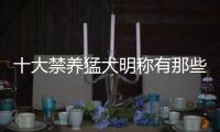 十大禁養(yǎng)猛犬明稱有那些 中國十大禁養(yǎng)猛犬